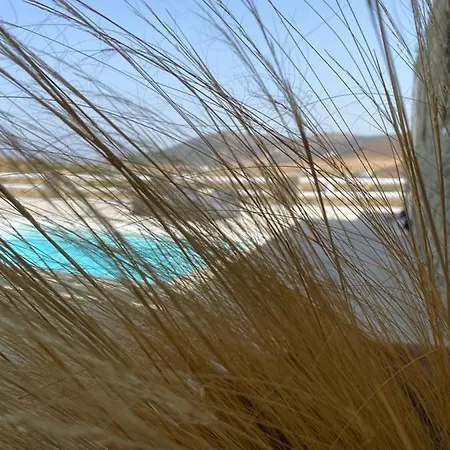 Parian White Luxury Apartment